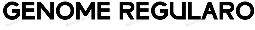 Genome RegularObliq字体转换